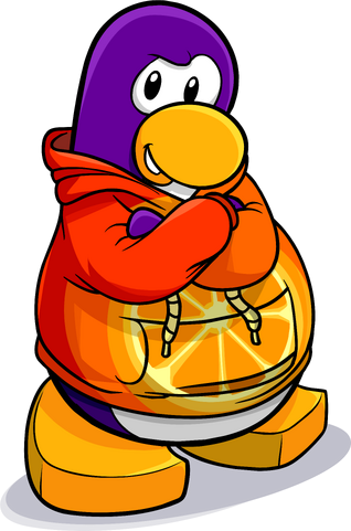 File:Orange Citrus Hoodie Artwork.png
