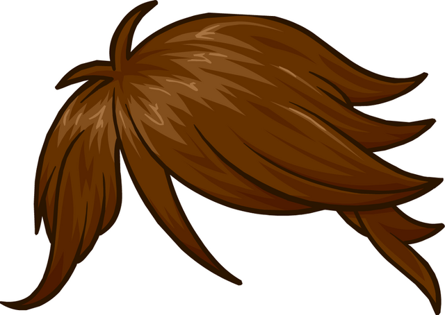File:Club Penguin-Meu Cabelo.png