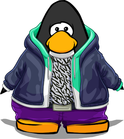 File:Clothing 24146 player card.png