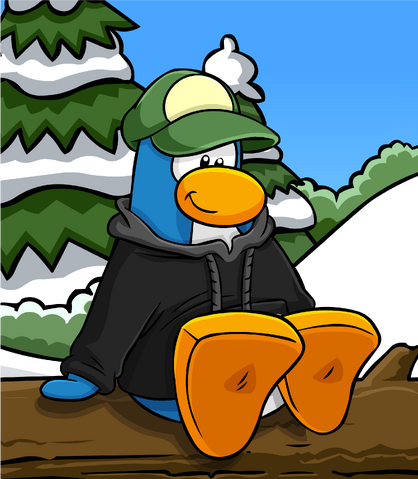 File:Black Hoodie card image.png