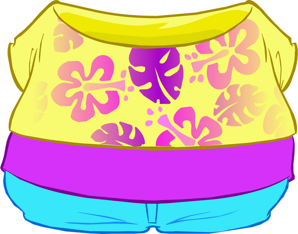 File:Endless Summer Outfit.png