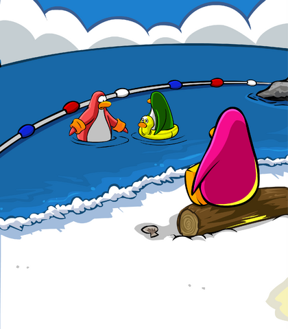 File:The Cove card image.png