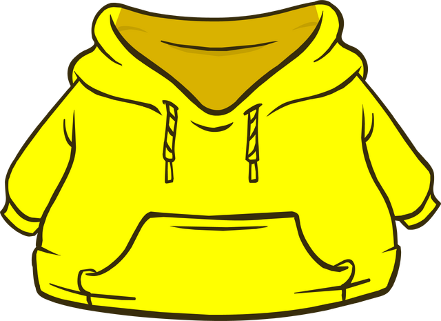 File:Hoodie of Creativity.png