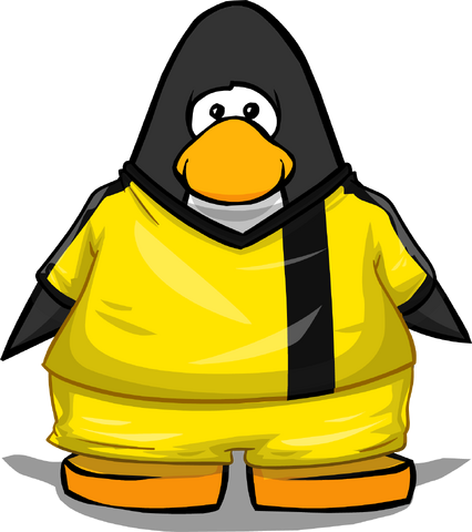 File:Clothing 24128 player card.png