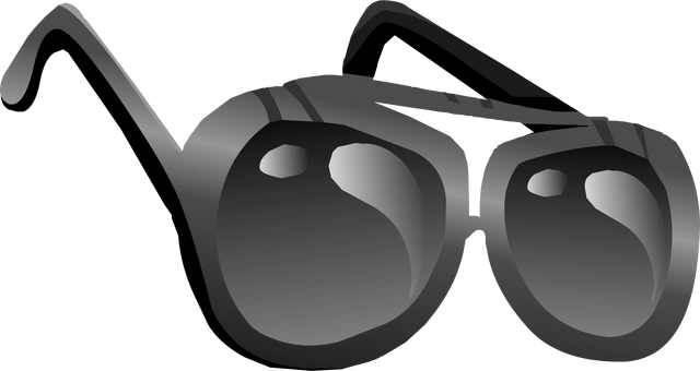 File:Police Aviators.png