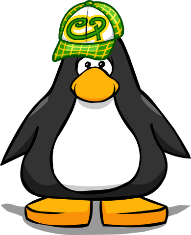 File:GreenskaterhatPC.png