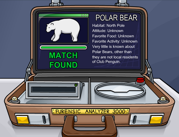 File:Polarear.png