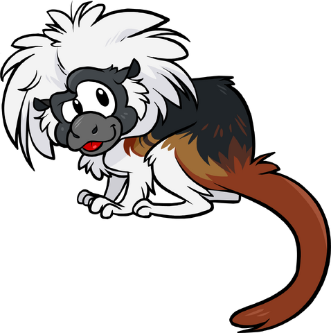File:Tamarin.png