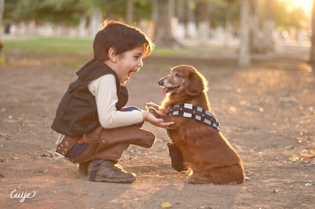 File:MiniHanSoloWithChewPuppy.jpg