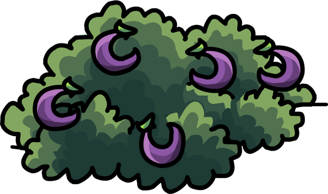 File:O'berry Bush In-Game 2.png