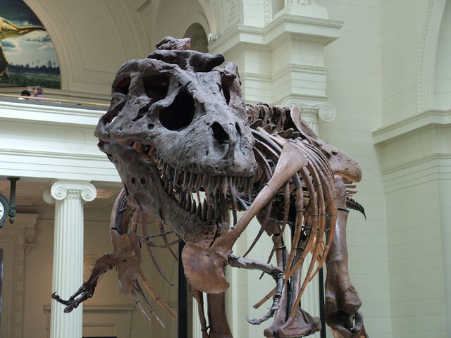 File:DSCF1652.jpg