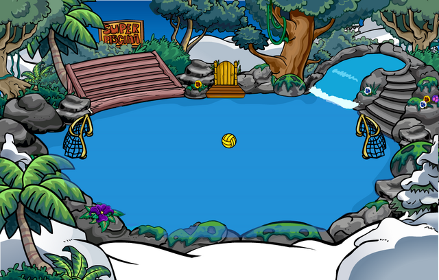 File:Water Party 2013 Rink.png