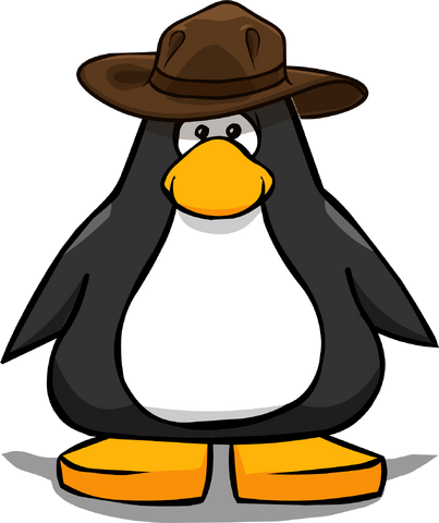 File:JuniorexplorerhatPC.png