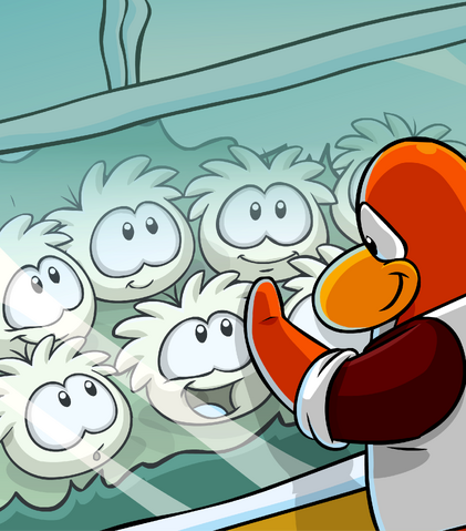 File:White Puffles card image.png