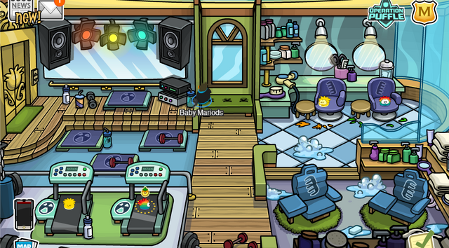 File:Puffle hotel gym.png