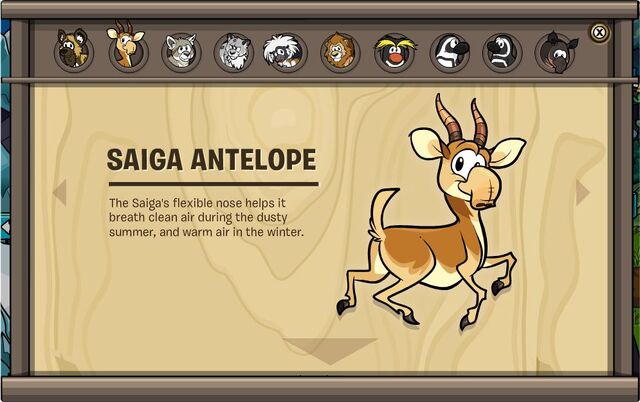 File:EDCatalog3.jpg