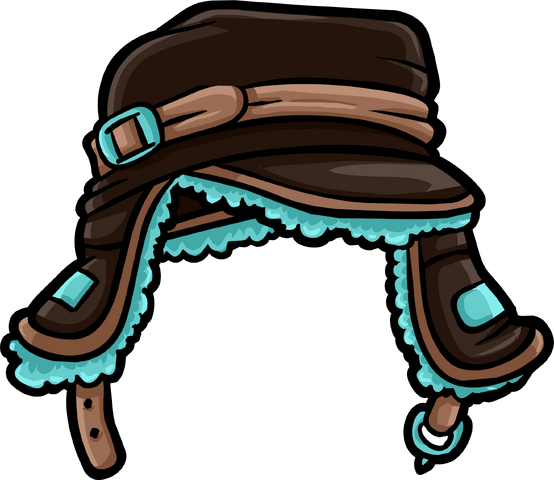 File:Brown Teal Cap icon.png