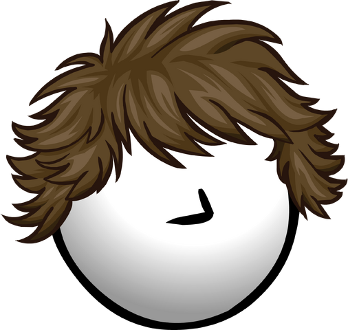 File:TheFlip.png