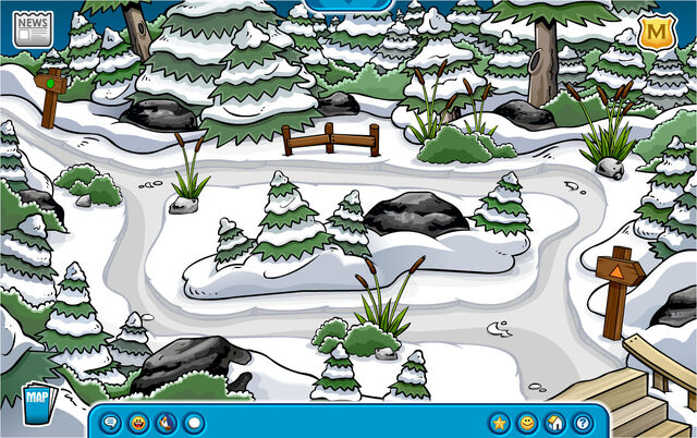 File:Forest-camp.jpg