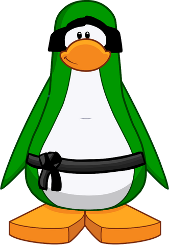 File:Green Ninja Custom.png