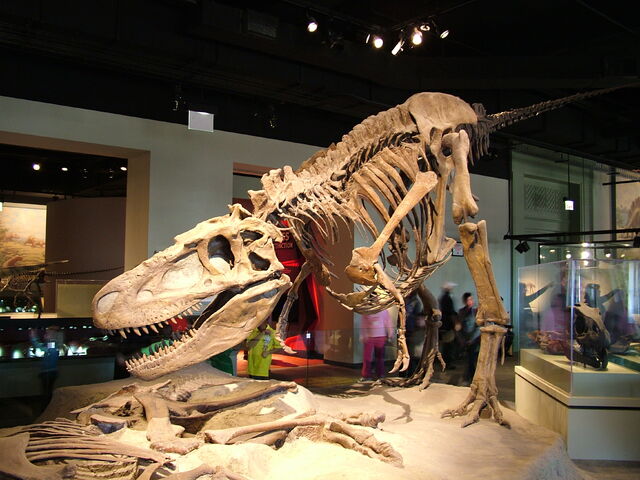 File:DSCF1723.jpg