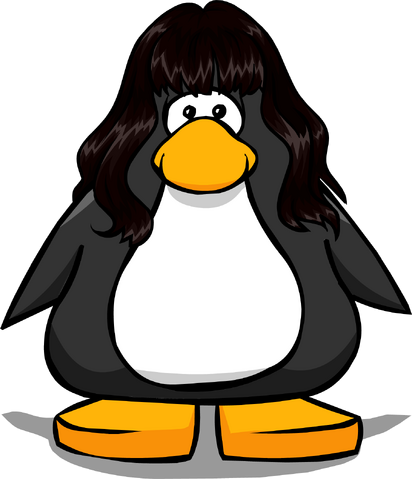 File:TheflowPC.png