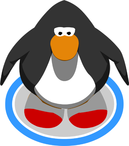 File:Wool Socks IG.png