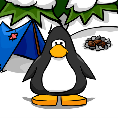 File:CampingBGPC.png