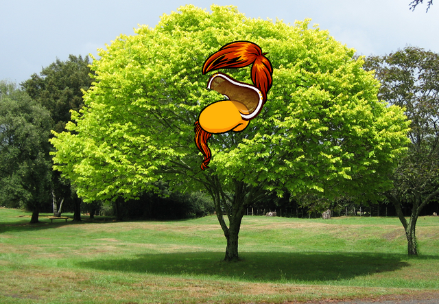 File:TREEEEEEE.png