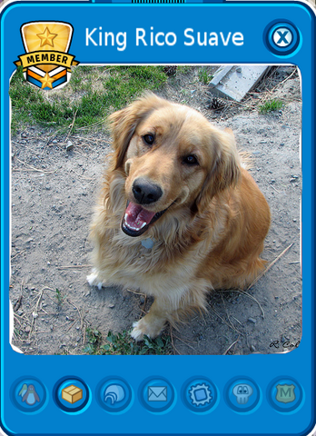 File:KingRicoSuavePlayercard.png