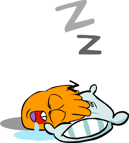 File:Orange Puffle sleep.png