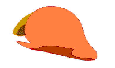 File:CogapC1.png