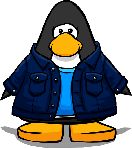 File:Clothing 14105 player card.png