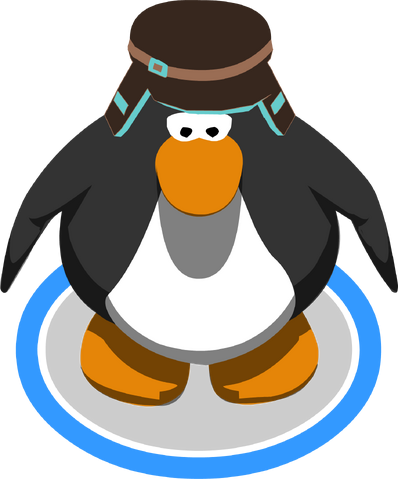 File:Brown Teal Cap in-game.png