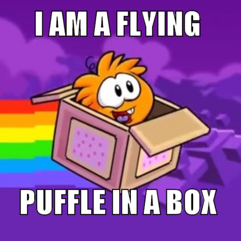 File:Puffle meme.png