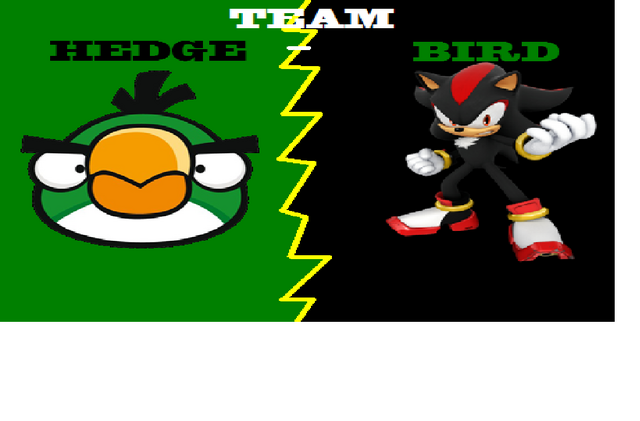 File:Team Hedgebird!.png