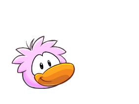 PP (1)