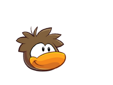PP