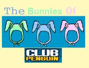 Bunniesofcp
