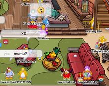 Pookiesincoffeshop