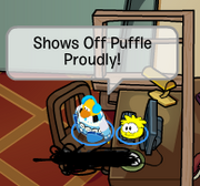 Showandtell