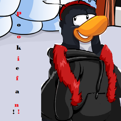File:Pookiefan500x500.png
