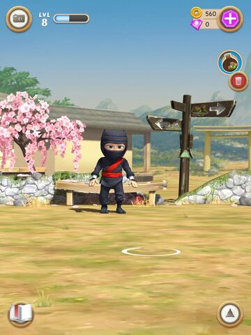 File:DizzyNinja.jpg