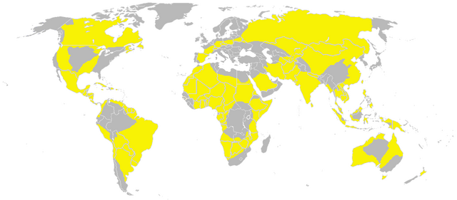 File:Yellow Zones.png