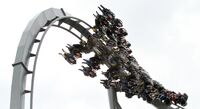 The-swarm-2