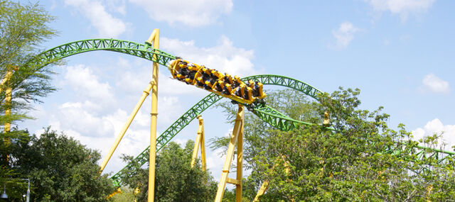 File:CheetahHunt1.jpg