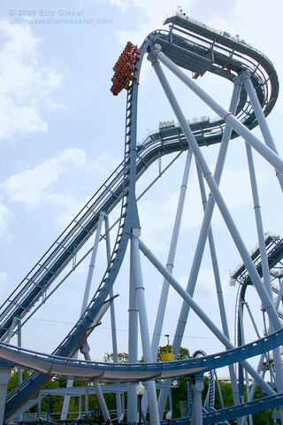 File:Griffon.jpg