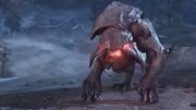 Rhino.jpg