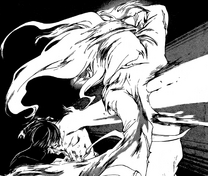 Sagashimono tué par Rei