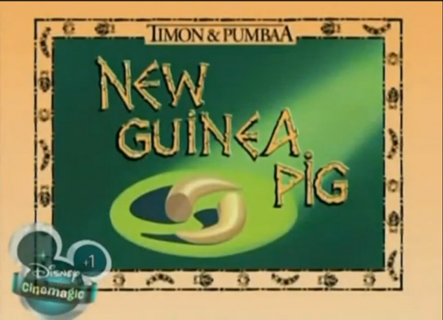 File:New Guinea Pig.png